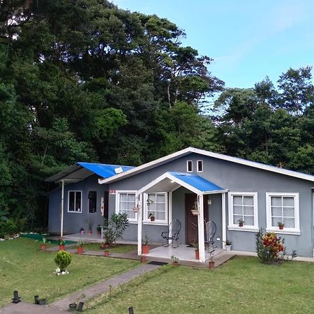 Lissadell Country House Villa Monteverde Esterno foto